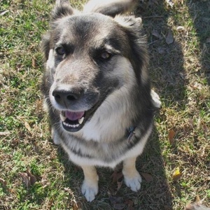 Profile Picture of Clarissa Cutrell (@naampueng) on Myspace