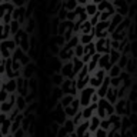 Profile Picture of Dazmy Castrejon (@dazmy999) on Poshmark