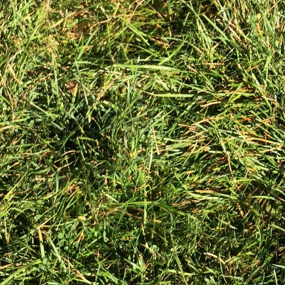 Alex Hermosillo - Poshmark Profile Picture of Alex Hermosillo (@alextaco1358) on Poshmark