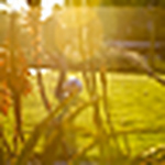 Profile Picture of Melseykitchell (@melseykitchell) on Flickr