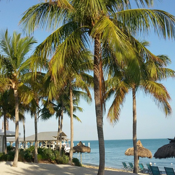 Profile Picture of Joie Marhefka (@jnm711) on Poshmark