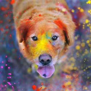 Profile Picture of Jonathan Erichsen (@jonathan.erichsen.5) on Facebook