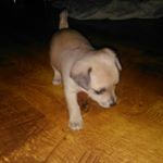 Gavin Todd - Instagram Profile Picture of Gavin Todd (@gavintodd2122019) on Instagram