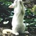Profile Picture of Roberta Montgomery (@robbie99352) on Pinterest