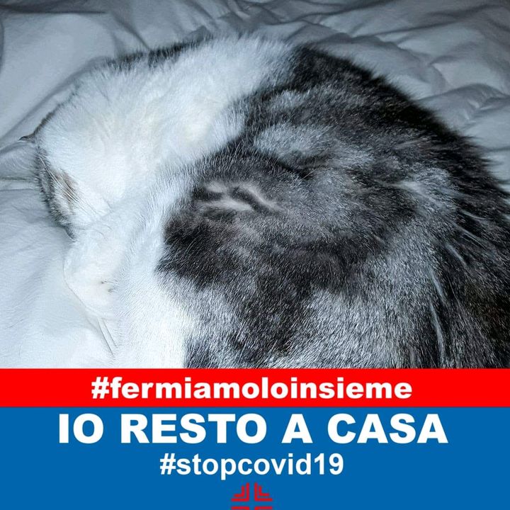 Profile Picture of davidred (@davidred722) on Tiktok