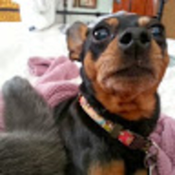 Profile Picture of Cory Hammerstone (@enotsremmah) on Poshmark