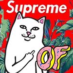 Profile Picture of Joseph Boudreaux (@joseph.boudreaux.9847) on Instagram