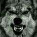 Profile Picture of Brian Turner (@zarek69bt) on Pinterest