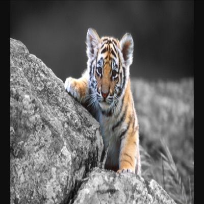 Profile Picture of AndrewFlandrew (@andrewflandrew) on Tiktok