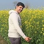 Rohit Oberoi - Instagram Profile Picture of Rohit Oberoi (@oberoi8842) on Instagram