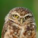 Profile Picture of Andreas L. (@mohandreaslieske) on Pinterest