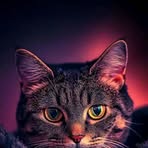 Profile Picture of Ian Ramsey (@ian.ramsey.12764) on Facebook