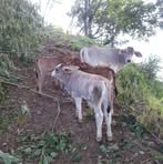 Profile Picture of Javier Rubio (@Javier-Rubio) on Facebook