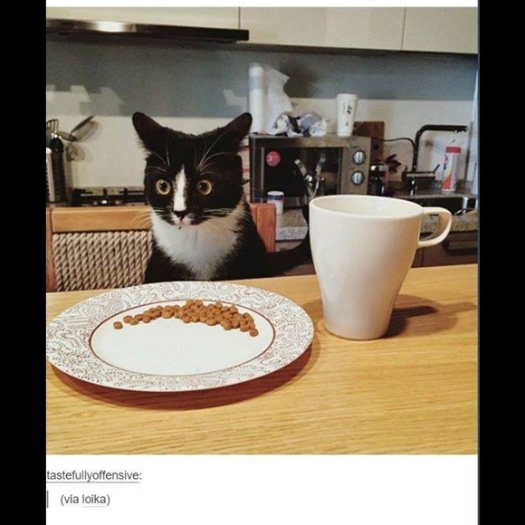 Profile Picture of Cesar Osuna (@cesarosu) on Poshmark