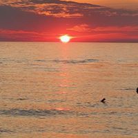 Profile Picture of Julia Mineo (@julia-mineo-1) on Quora