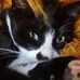 Profile Picture of Valbona Koçi Mone (@valbona.kocimone) on Facebook