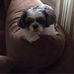 Profile Picture of Bob Huggins (@bob.huggins.98) on Facebook