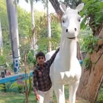 Profile Picture of Razi Ansari (@Razi-Ansari) on Facebook