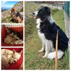 Profile Picture of Laura Berettini (@Laura-Berettini) on Facebook