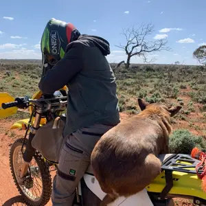 Profile Picture of jdahlstrom (@julian_dahlstrom) on Tiktok