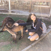 Profile Picture of Lily Hsieh (@lilyhsieh5581) on Youtube