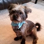 Profile Picture of echo bennett (@everyday.echo) on Instagram