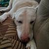 Profile Picture of Jason Falk (@@user2276324955000) on Tiktok