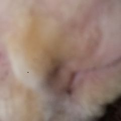 Profile Picture of John Fournier (@johnfournier6) on Tiktok