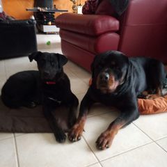 Profile Picture of stephaniebuchert (@stephaniebuchert) on Tiktok