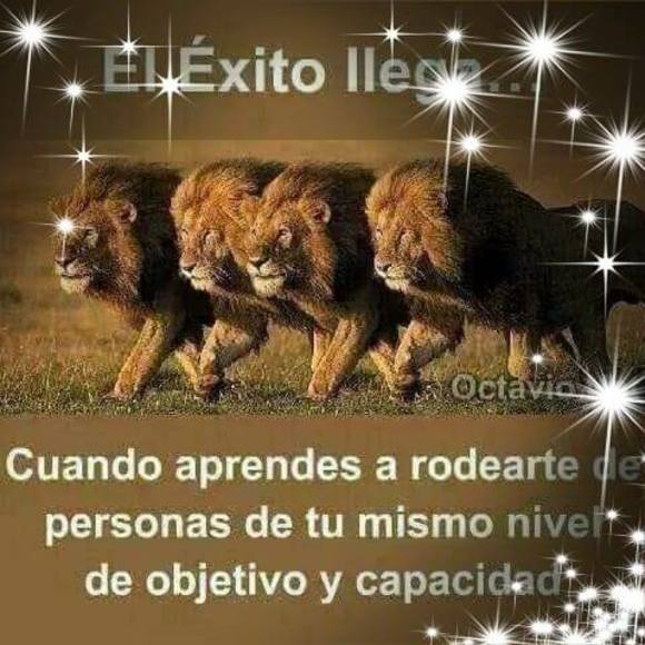 Profile Picture of Ricardo Alonso fierros (@ricardoalons884) on Poshmark