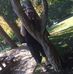 Profile Picture of Andrew Palzer (@andrew.palzer) on Facebook