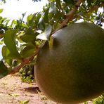 Profile Picture of Jean Humaine Vernet (@jeanhumaine.vernet.75) on Facebook