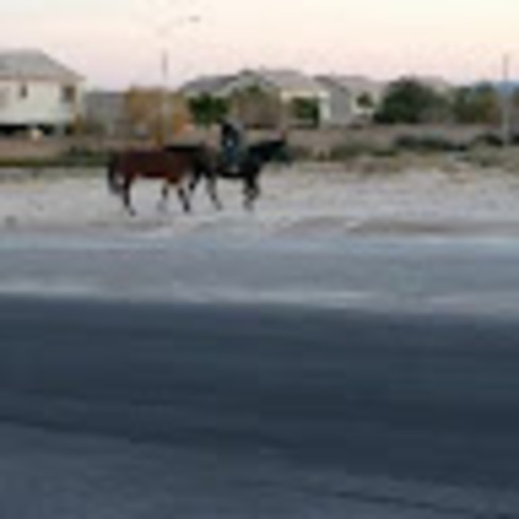 Profile Picture of Percy Thompson (@314pthompson) on Poshmark