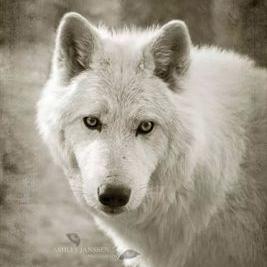 Profile Picture of Craig Moriarty (@593055b11a3b450) on Twitter