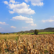 Profile Picture of Michael Riggio (@michaelriggio2903) on Youtube