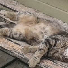 Profile Picture of Philip Odonnell (@PhilipOdonnell7) on Twitter