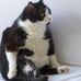 Profile Picture of Sheryl Currier (@sheryl.currier.507) on Facebook