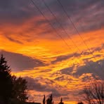 Profile Picture of Zachary Wayman (@zachary.wayman.56) on Facebook