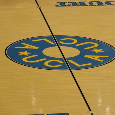 Profile Picture of Dave Marcus (@acornbruin) on Twitter