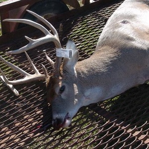 Kasandra Henson - Myspace Profile Picture of Kasandra Henson (@my_babys07) on Myspace