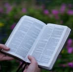 Profile Picture of Sabiiti Stephen (@sabiiti.stephen) on Facebook