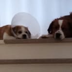 Profile Picture of Christel Bossmeyer (@christel.bossmeyer) on Facebook