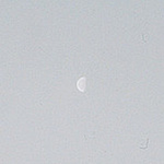 Profile Picture of Ulli Rickers (@ulli rickers) on Flickr