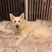 Profile Picture of Kyle Kavanagh (@kylekavanagh3760) on Youtube