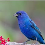 Profile Picture of Patricia Colin (@Patricia-Colin) on Facebook