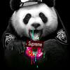Profile Picture of Hiram Longoria (@@fatpanda12k) on Tiktok