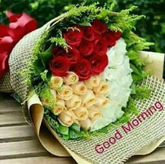 Profile Picture of Raed Hayajneh (@sanahayajneh70) on Poshmark