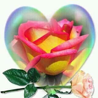 Profile Picture of Yolanda De Cantu (@Yolanda1771) on Twitter