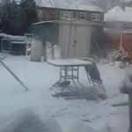 Profile Picture of Carl Beech (@carl.beech.3386) on Instagram