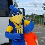 Profile Picture of Stephen Heidt (@heid.stephen) on Instagram